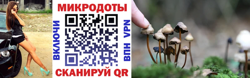 Купить  Гусев  Галлюциногенные грибы Psilocybine cubensis 